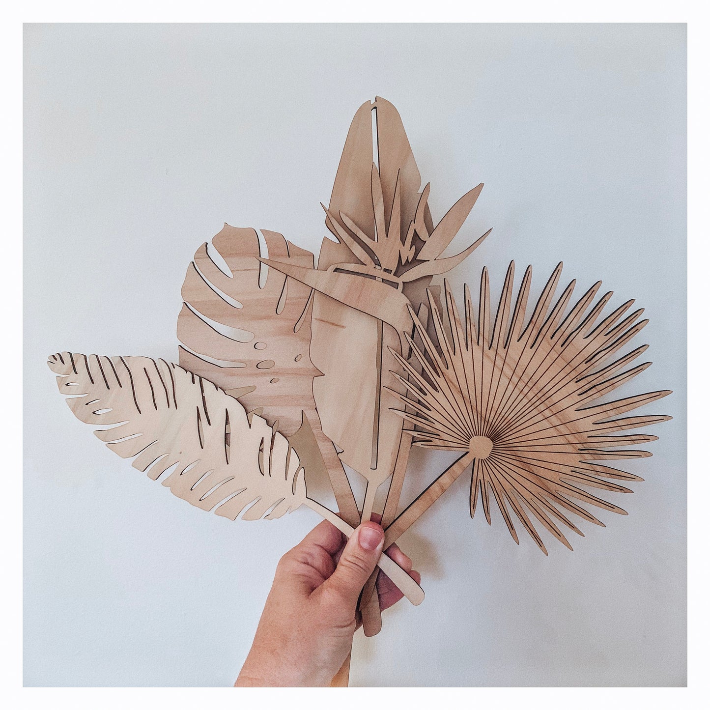 Wooden Leaves Fan Palm